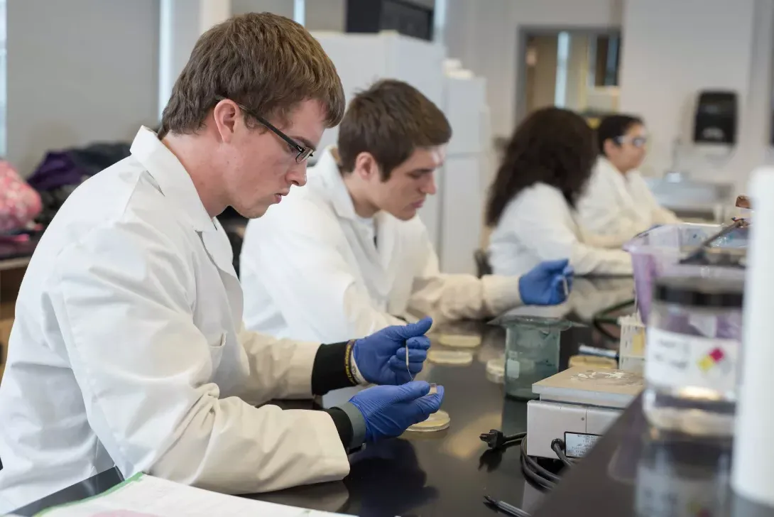 Students working in microbiology lab